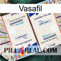 Vasafil kamagra1